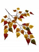 Rudens beržo lapas 60 cm dirbtinis beržas