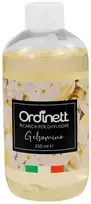 Drėkintuvas ORDINETT Aromatinio difuzoriaus papildymas 250 ml Jazminas