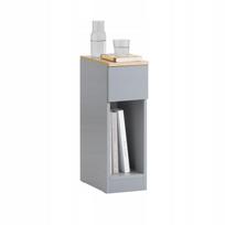 „SoBuy“ naktinis staliukas su stalčiumi ir lentyna, 20 × 35 cm, FBT111-HG