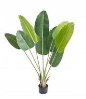 Dirbtinė palmė bananmedis LZ41, 150 cm