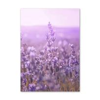 Violetinė tapyba ant drobės Gėlės Alyvinė Levanda Plakatas Dviračio Kaimo Peizažas Nuotrauka Namų Sienos Miegamojo Dekoras Fonas 40x50cm No Framed