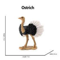 Kengūra Koala Stručio Emu Modeliniai Žaislai Australijos Laukinių Gyvūnų Gyvūnų Figūrėlės Vaikams Veiksmo Figūrėlės Vaikų Dovanos Dekoracijos