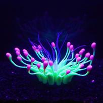 Soft Silica Gel Moves Naturally Water Flow Aquarium Decorations Glow in Dark Glowing Coral Ornaments for Fish Tank Decorations žalia