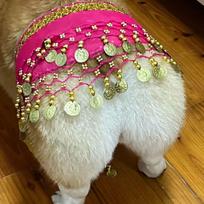 Corgi Hip Shake Sequin Waist Chain - Dog Dance Scarf Decoration rožinė raudona spalva