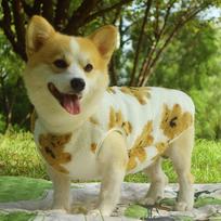 Warm Fleece Dog Vest Corgi Shiba Teddy Dachshund - Winter Pet Clothing Medium Dogs 1: Recommended for 4-6kg dogs, Chest 40cm white