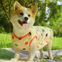 Warm Fleece Dog Vest Corgi Shiba Teddy Dachshund - Winter Pet Clothing Medium Dogs 3: Recommended for 10-14kg dogs, Chest 50cm