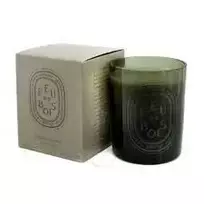 Diptyque Firewood Scented Candle