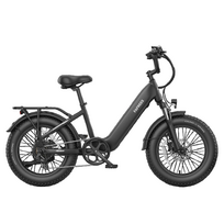 FAFREES F20 Rover  didelio pravažumo ir didelio nuotolio elektrinis dviratis