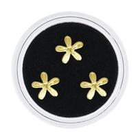3 vnt. Dantų grožio deimantukai su dėžute, deimanto spalvos, dantų kristaliniai dantų papuošalai, dantų deimantukai, dantų papuošalai, deimantinis įrankis beige
