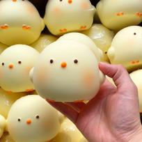 Taba Squishy Cute Chicken Squeeze Toy Stress Relief Slow Rising Sensory Fidget for Anxiety ADHD Autism Gifts Kids Adult ASMR Fun beige