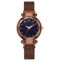 Douyin Hit: Ladies' Starry Sky Watch with Milanese Magnetic Strap ruda