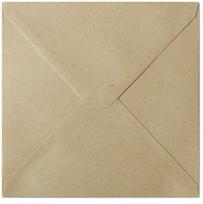 Vokai 160x160mm NATURE 10vnt tam rudi, VOKGPU11AR280320