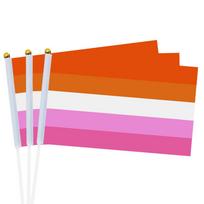 14x21 cm vaivorykštinė vėliava su vėliavos stiebu Mini rankinė vaivorykštės vėliava gėjų LGBT lesbietės Homoseksualas Biseksualus Panseksualumas Pasididžiavimas Namų dekoras 1PC
