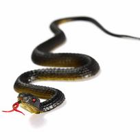 Realistic Plastic Tricky Toy Fake Snakes Boa Rattlesnake Model High Simulation Toy Prank Halloween OneSize black