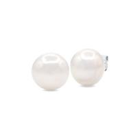 Earrings - PEARLS & COLORS - Pearls & Colors - Freshwater Pearl 11-12 mm - 925 Sterling Silver - AAA+ Quality