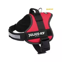 Petnešos šunims | Julius-K9 IDC Powerharness petnešos šunims, 2XL/3, 82–116 cm, raudonos