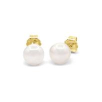 Earrings - PEARLS & COLORS - Buttons - 6-7 mm Freshwater Pearl - 9 ct Yellow Gold (375) - White