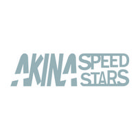 Akina Speed Stars, Initial D Racing Team Replica Vinyl Sticker Decal - JDM Drifting Car Accessories 20X5.5CM sidabras