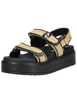 STEVE MADDEN Sandalai 'Bigmona' šampano / juoda