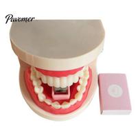 Novelty Office Stationery Funny Teeth Shaped Mini Stapler, Cute Dental Mold Paper Gifts for Students Fastener, Creative Binding Tool Dentists And Fun 1pc gray