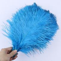 10vnt /Stalas Natūralių baltų stručio plunksnų vestuvių namų puošmena 15-20cm /25-30cm /30-35cm Stručio plunksnų stalo centrinė amatai 15-20cm ežero mėlyna spalva