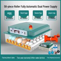 Automatinis namų inkubatorius vištų, ančių, žąsų, balandžių kiaušiniams 56 eggs, dual power