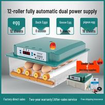 Automatinis namų inkubatorius vištų, ančių, žąsų, balandžių kiaušiniams 12 eggs, dual power
