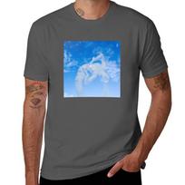 Eartheater Scripture Essential Tshirt Soft Casual Short Sleeve Cotton Tee 4XL gray