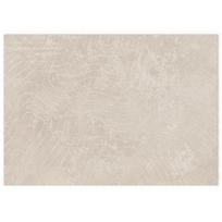 vidaXL Vidaus ir lauko kilimas PALMERAS Smėlio 240 x 340 cm