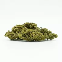 CBD Greenhouse „Sweet Mango“ 10 % kanapių žiedai