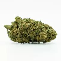CBD Greenhouse „Northern Light“ 11 % kanapių žiedai