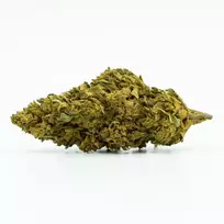 CBD Greenhouse „Bubba Kush“ 18 % kanapių žiedai