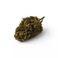 CBD Flower „Chemberry“ 10 % kanapių žiedai