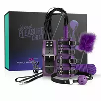 Secret Pleasure Chest Purple Apprentice BDSM rinkinys, violetinis