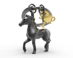 Raktų pakabukas Metalmorphose Juodas Žirgas