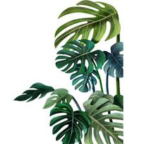 Lapų Gėlių Sienos Lipdukai Nuimami Žali Palmių Lapų Langų Lipdukai Namų Sienų Lipdukai Freskos Šaldytuvo Lipdukai 30x90CMX2pcs black