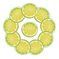 10PC Artificial Lemon Slices Blocks Simulation Lemon Slice Fake Lemon Block-Double Side Fake Fruit Model for Party Wedding Decor beige
