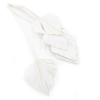 Palm Spear - Bleached
