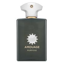 Amouage Purpose Eau De Parfum 100 ml Nišiniai kvepalai