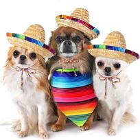 Colorful Mexican Sombrero DIY Decoration Dog Sun Hat Cap Creative Festival Headdress  Pet Supplies 15cm Hat