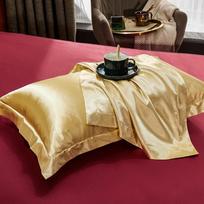 Pure Real Silk Pillowcase 2pcs Natural Silk Pillowcase Mulberry Silk Pillowcase Matches the image,48x74cm