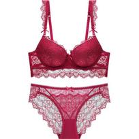 Europe Plus Size Moteriškas apatinis trikotažas Seksualus nėrinių siuvinėjimas Push Up liemenėlės rinkinys Romantiškas raudonas apatinis trikotažas Patogus liemenėlių ir kelnaičių rinkinys 75A bordinė