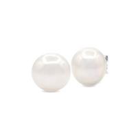 Earrings - PEARLS & COLORS - Freshwater button pearls - 925 Sterling Silver - White pearl 10-11 mm - AAA+ Quality white