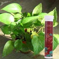 Universal Phosphorus Organic Fertilizer Speed Up Potassium Slow-Release Tablet Growth Plant Nutrition Tablets Plants Potted XXS green