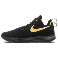 Nike LeBron Witness Iii Juoda Auksinė AO4433-003 44 black