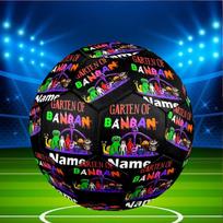 Custom Name Personalized Game Rainbow Friends Print Size 5 Soccer Ball Training & Match Football, for Team, Kicking, Gift for Football Size 5 black