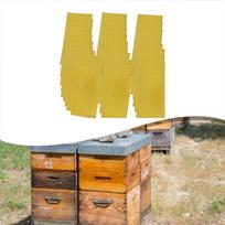 30 Pieces Beeswax For Honeycomb Sheets For Bee Foundation Accessories Simple Installation Garden Supplies China Mainland yellow
