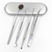 Stainless Steel Dental Tool Set: Endoscope, Toothpick, Calculus & Plaque Remover white