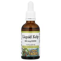 Natural Factors Liquid Kelp Iodine 800mcg 1 pcs 50ml