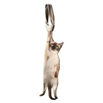 Juokingas katės formos kaklaraištis Gyvas naujoviškas kaklaraištis Linksmas gyvūnų rašto kaklaraištis Šventiniai renginiai Siamese Cat beige